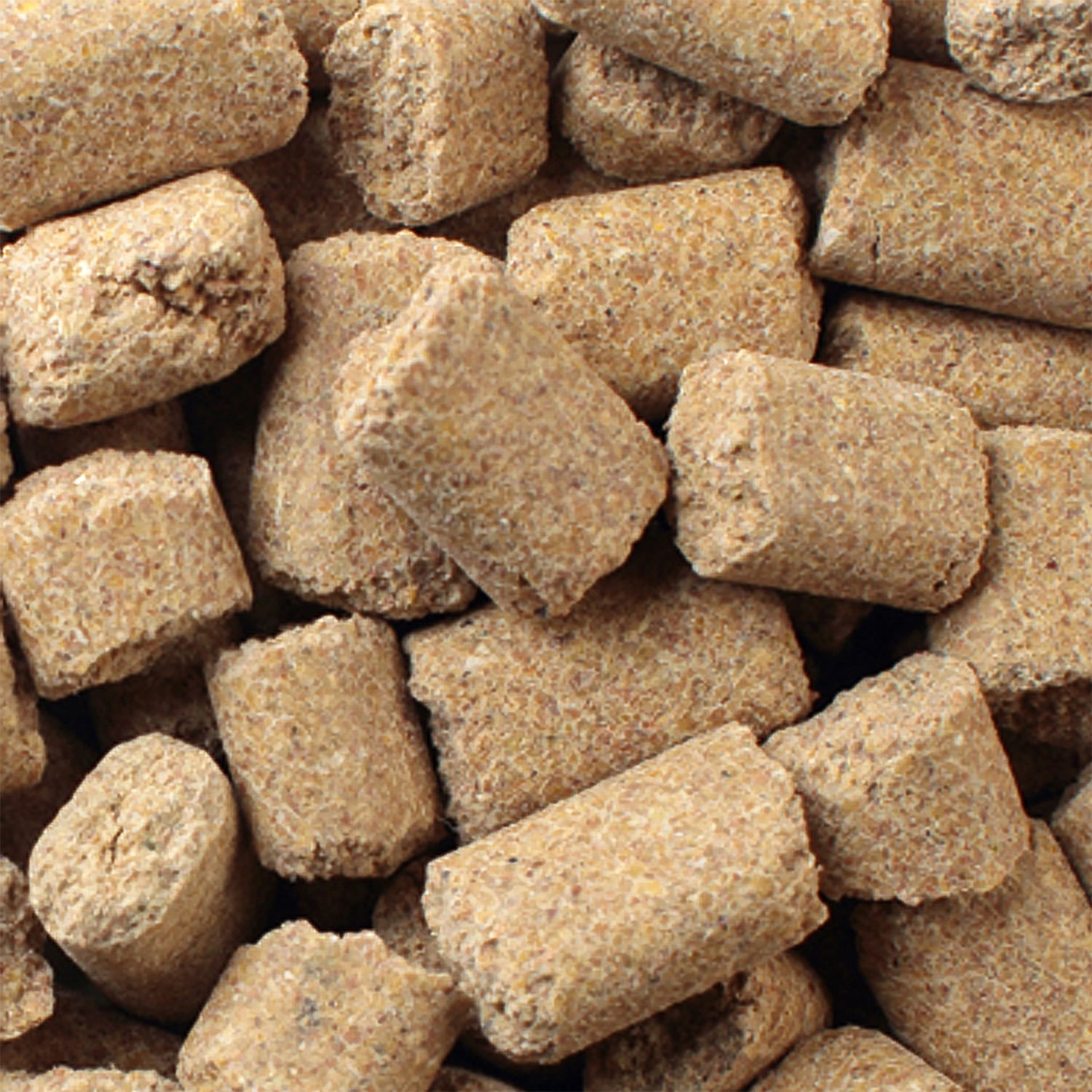 ALIMENTO SECO HAMSTERS RATONES RATAS MAZURI 900 GR - 3
