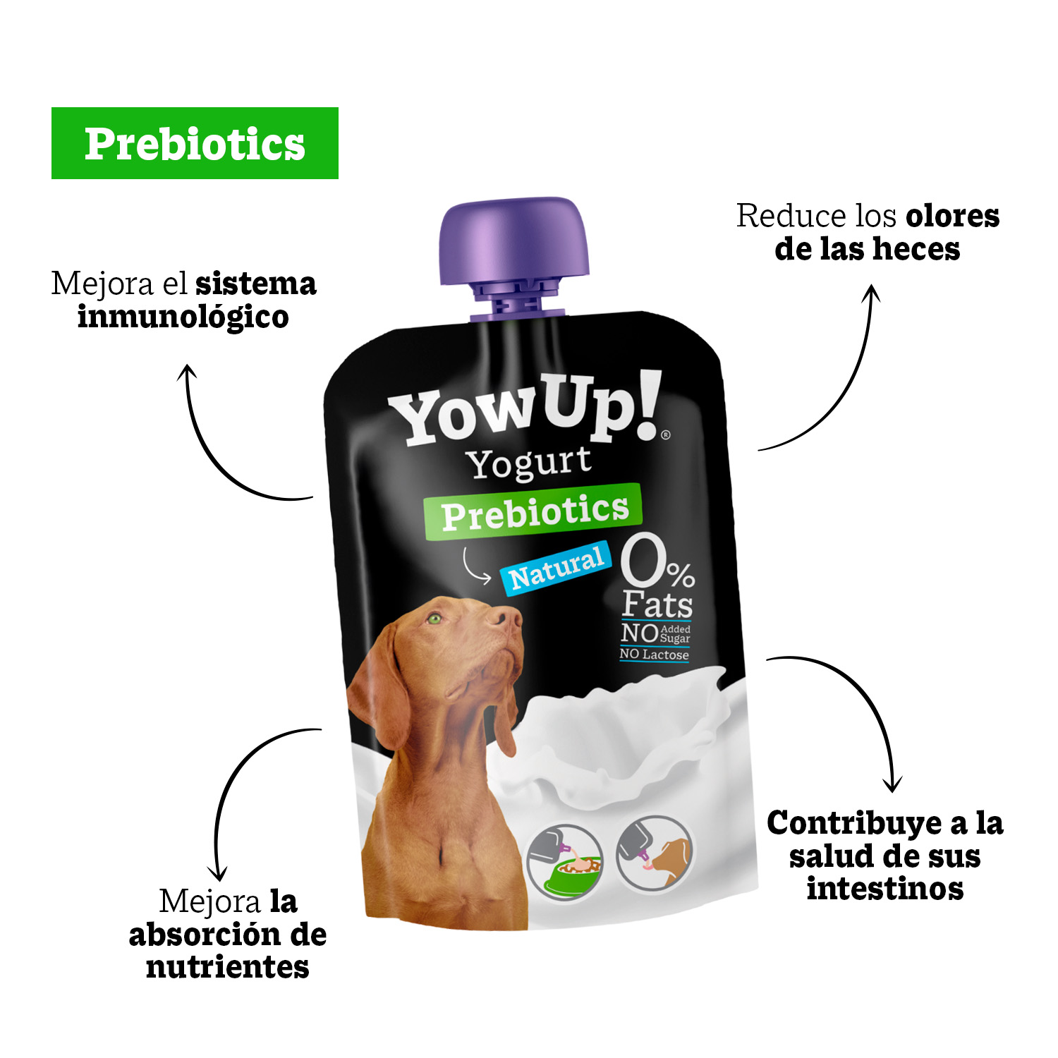 PACK X3 YOGURT NATURAL YOW UP PARA PERRO 115 GR - 3
