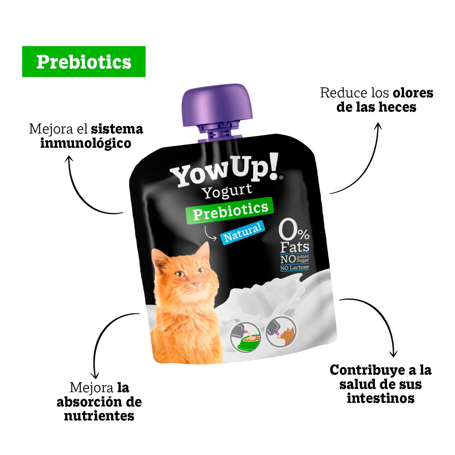 PACK X3 YOGURT NATURAL YOW UP PARA GATO 85 GR - 3