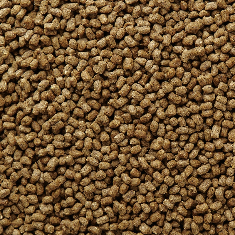 MAZURI ALIMENTO ERIZO DE TIERRA DIET 500 GR PACK X2 - 4