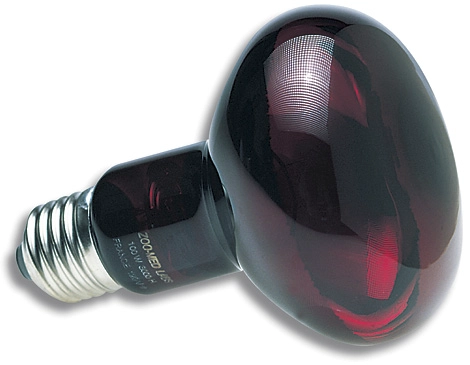 AMPOLLETA INFRARROJA 100W - 2