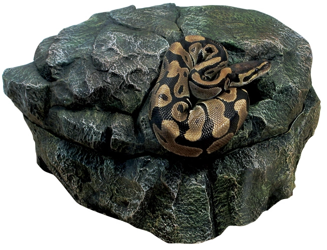 CUEVA REPTILES 3 EN 1 MEDIUM - 2