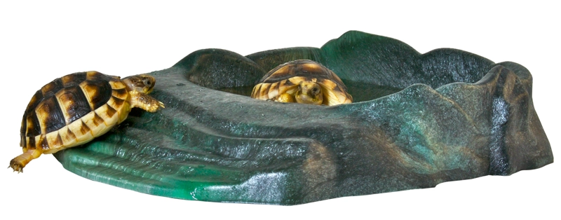 PLATO PARA REPTIL REPTI RAMP - 3