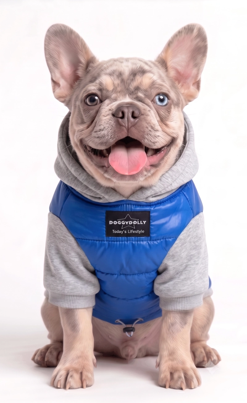 PARKA IMPERMEABLE AZUL Y GRIS RAZAS PEQUEÑAS - XXL - 1