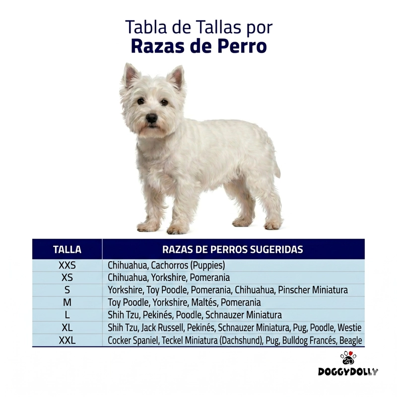 PARKA IMPERMEABLE AZUL Y GRIS RAZAS PEQUEÑAS - XXL - 3