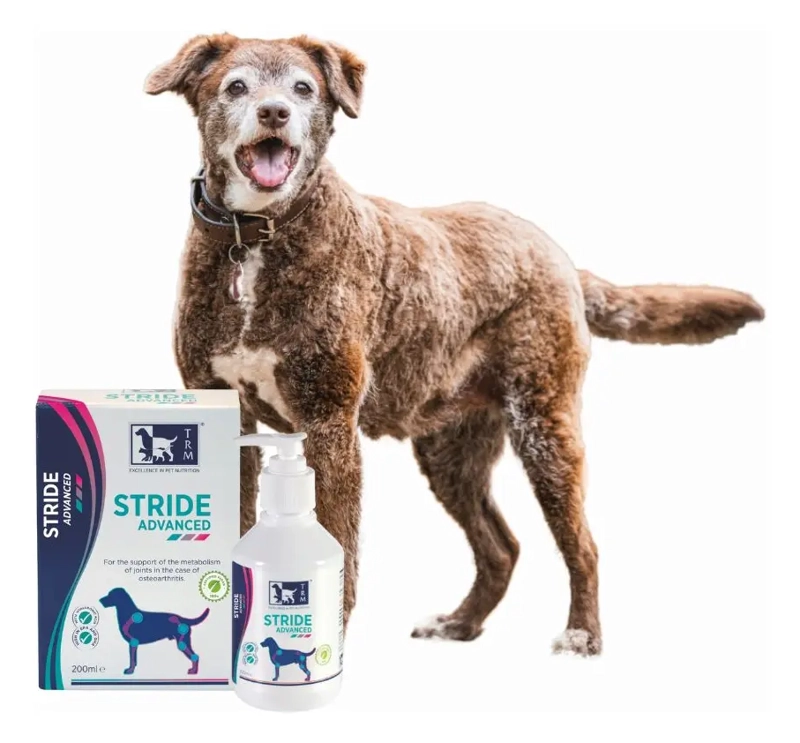 STRIDE ADVANCED 200 ML - 3