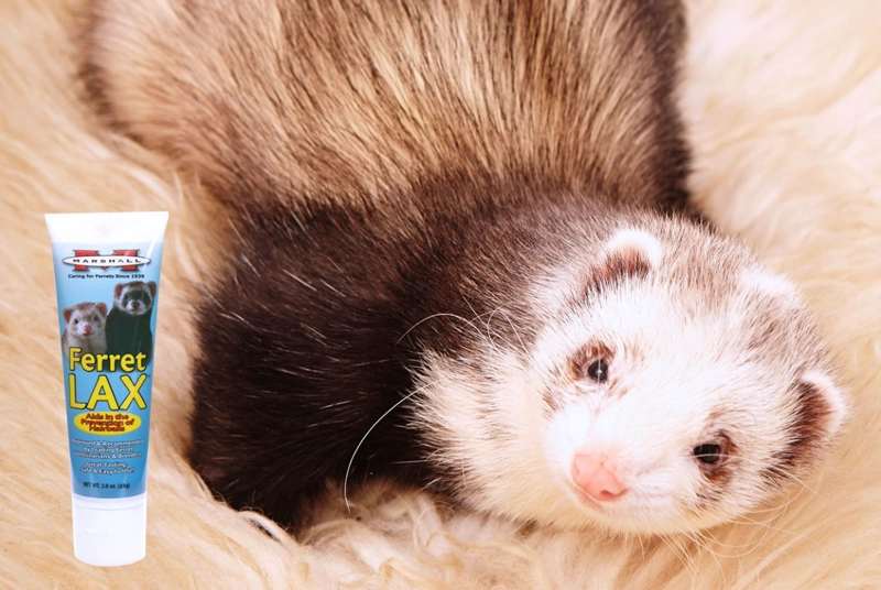 FERRET LAX CONTROLADOR BOLAS DE PELO (85 GR) - 3