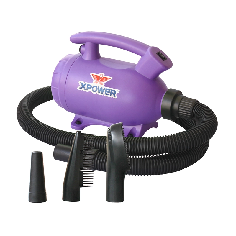 SECADOR MASCOTAS HOME MORADO - 1