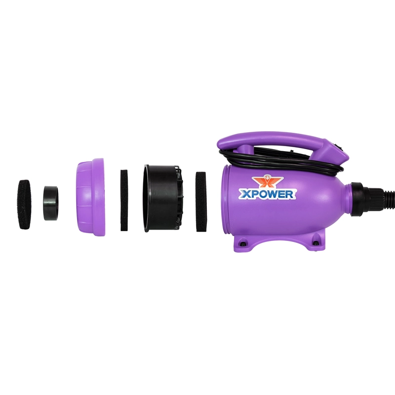 SECADOR MASCOTAS HOME MORADO - 2