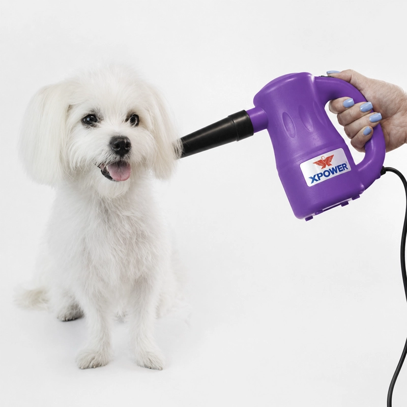 SECADOR MASCOTAS MULTIPROP. MORADO - 2