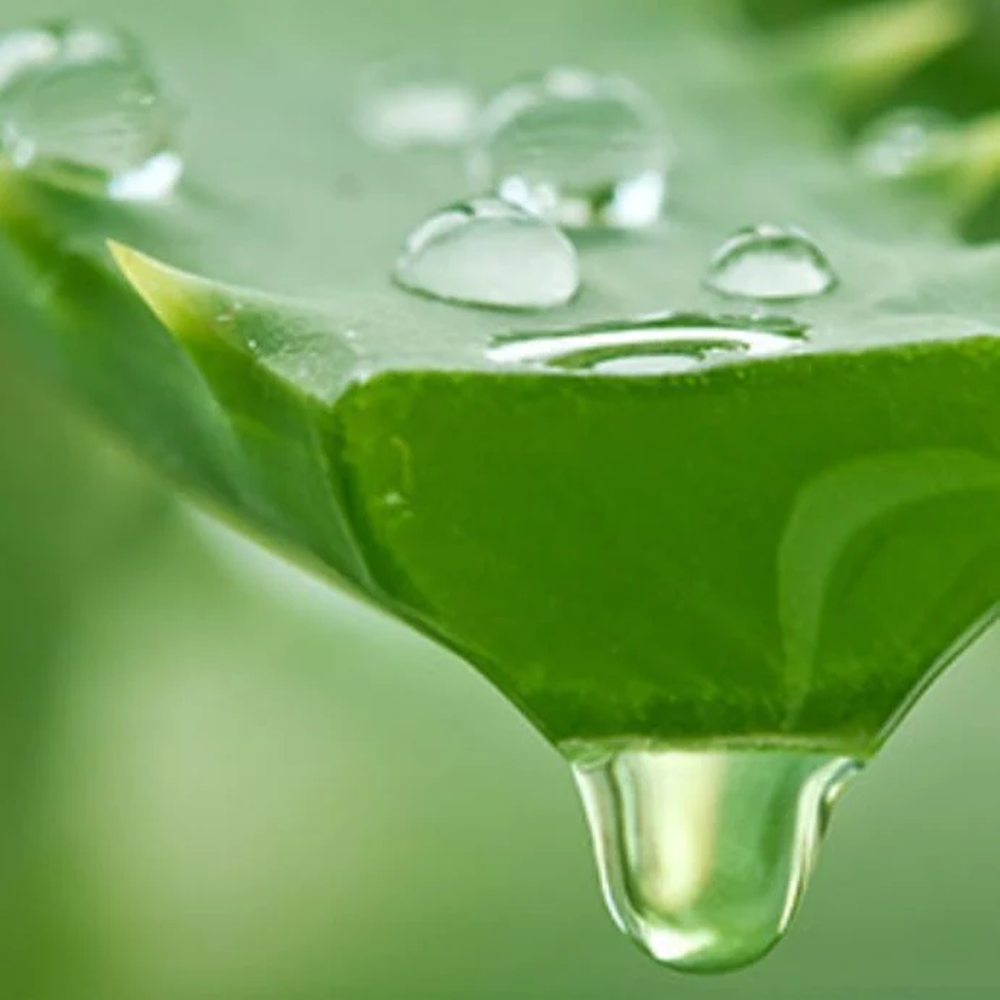 EMULSIÓN FACIAL HUMECTANTE ALOE VERA FRESH 155ML - COSMÉTICA COREANA - 3