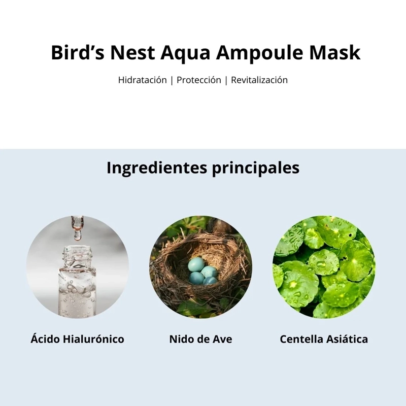 MASCARILLA DE AMPOLLAS BIRDS NEST AQUA - 4