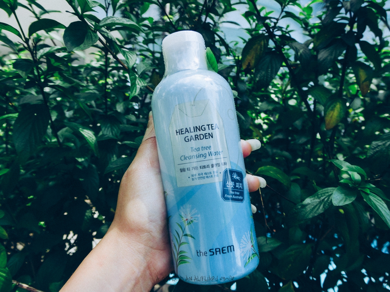 THE SAEM AGUA LIMPIADORA TEA TREE 300ML VEGANA SIN PARABENOS GRASA - 2