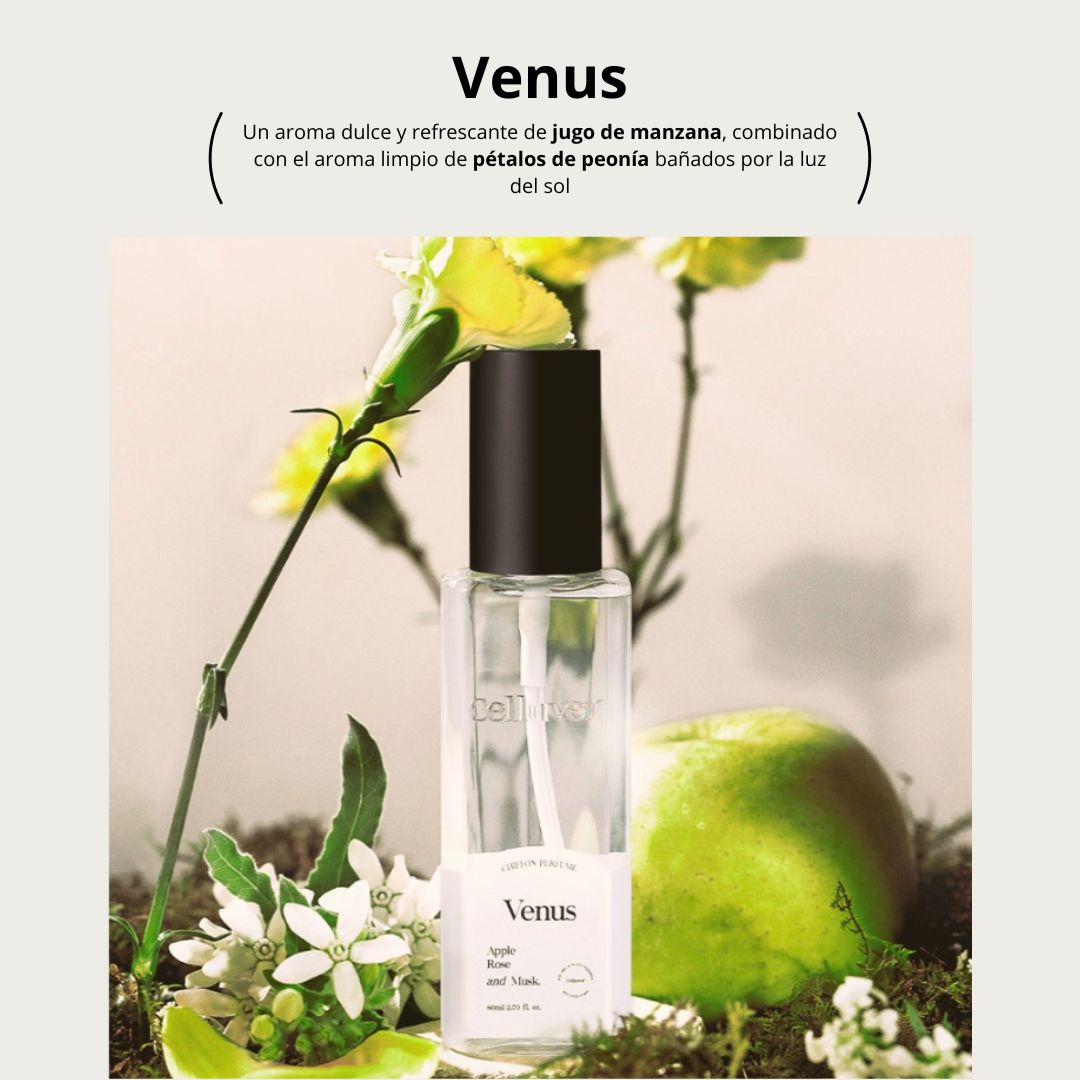CELLUVER PERFUMES - 9