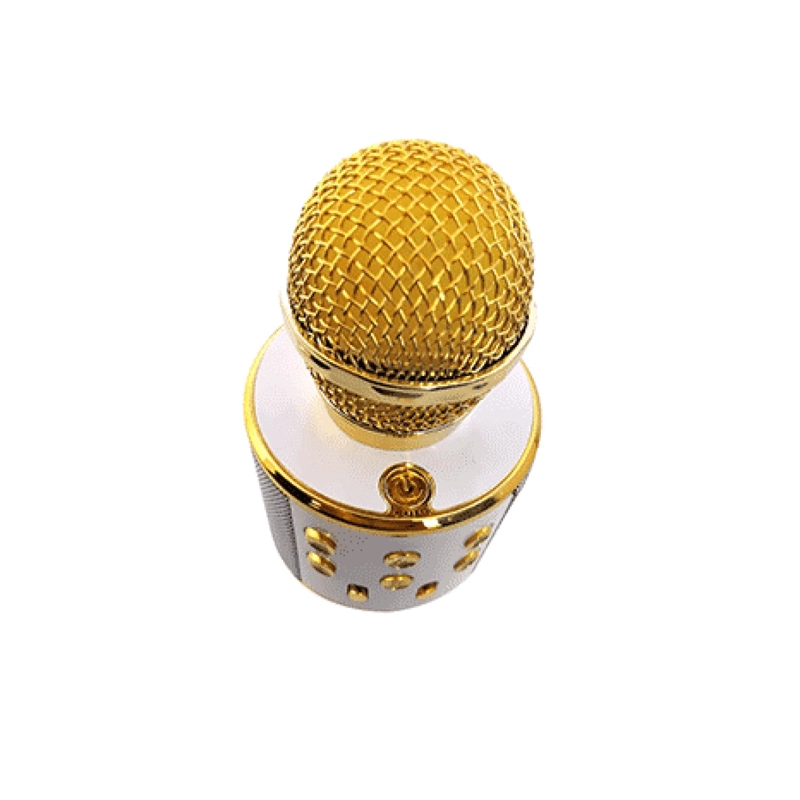 MICROFONO KARAOKE PARLANTE BLUETOOTH DORADO PROSOUND - 2