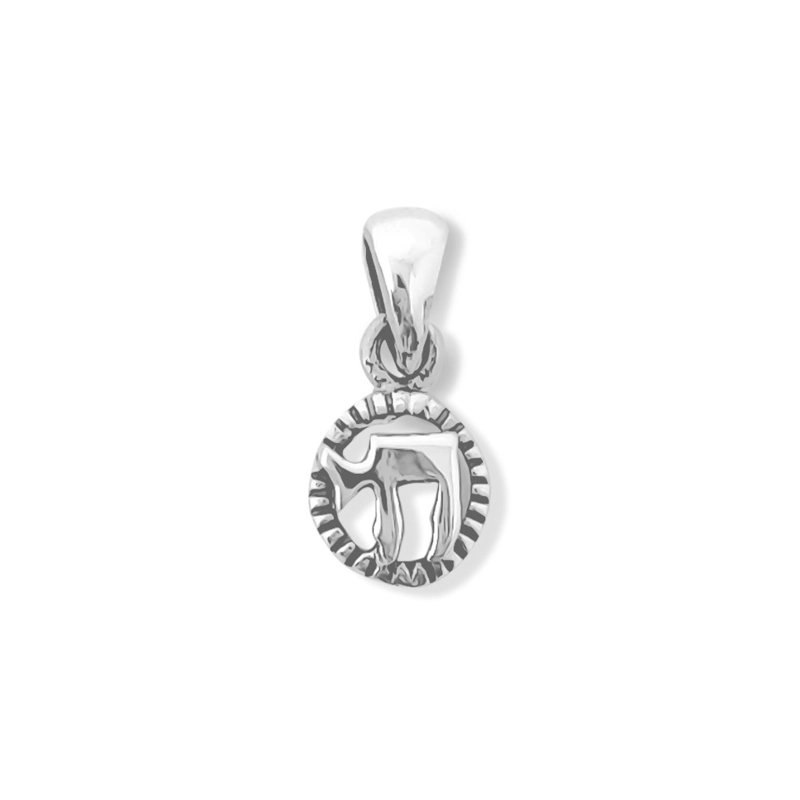 COLGANTE JAI REDONDO MINI PLATA FINA 925 - 1