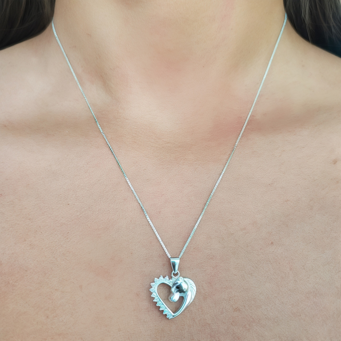 COLLAR ANDREA COGGIOLA JOYAS PLATA FINA 925 CORAZÓN CABALLO CIRCÓN - 3