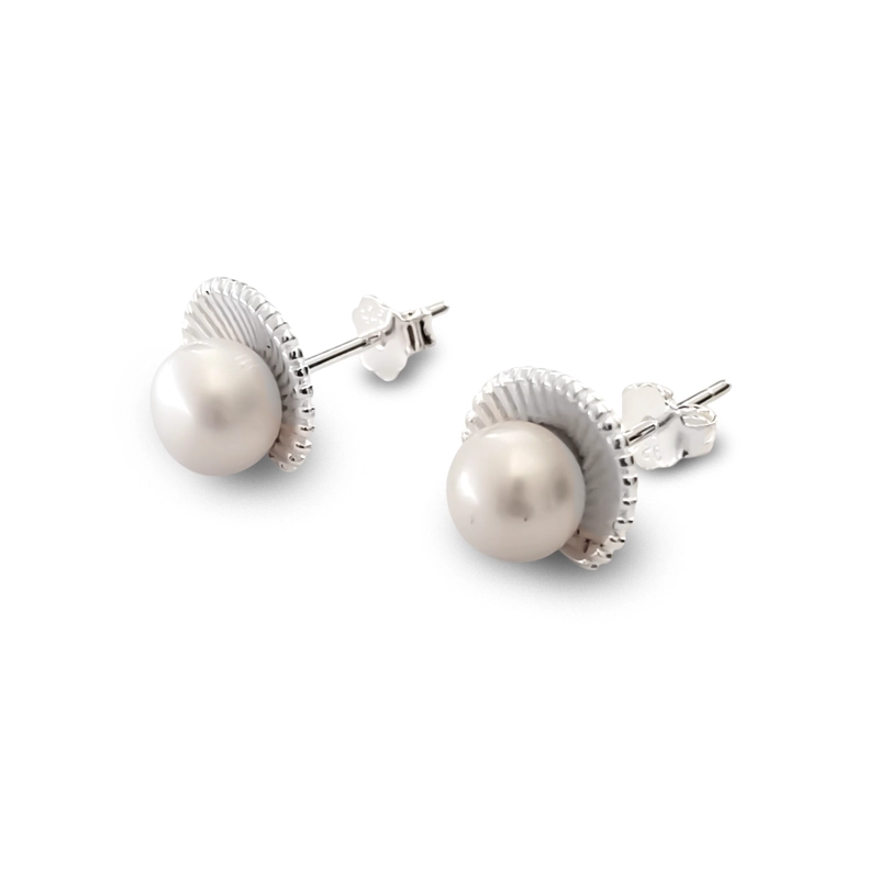 Aros Concha Perla De Río Plata Fina 925 - 2