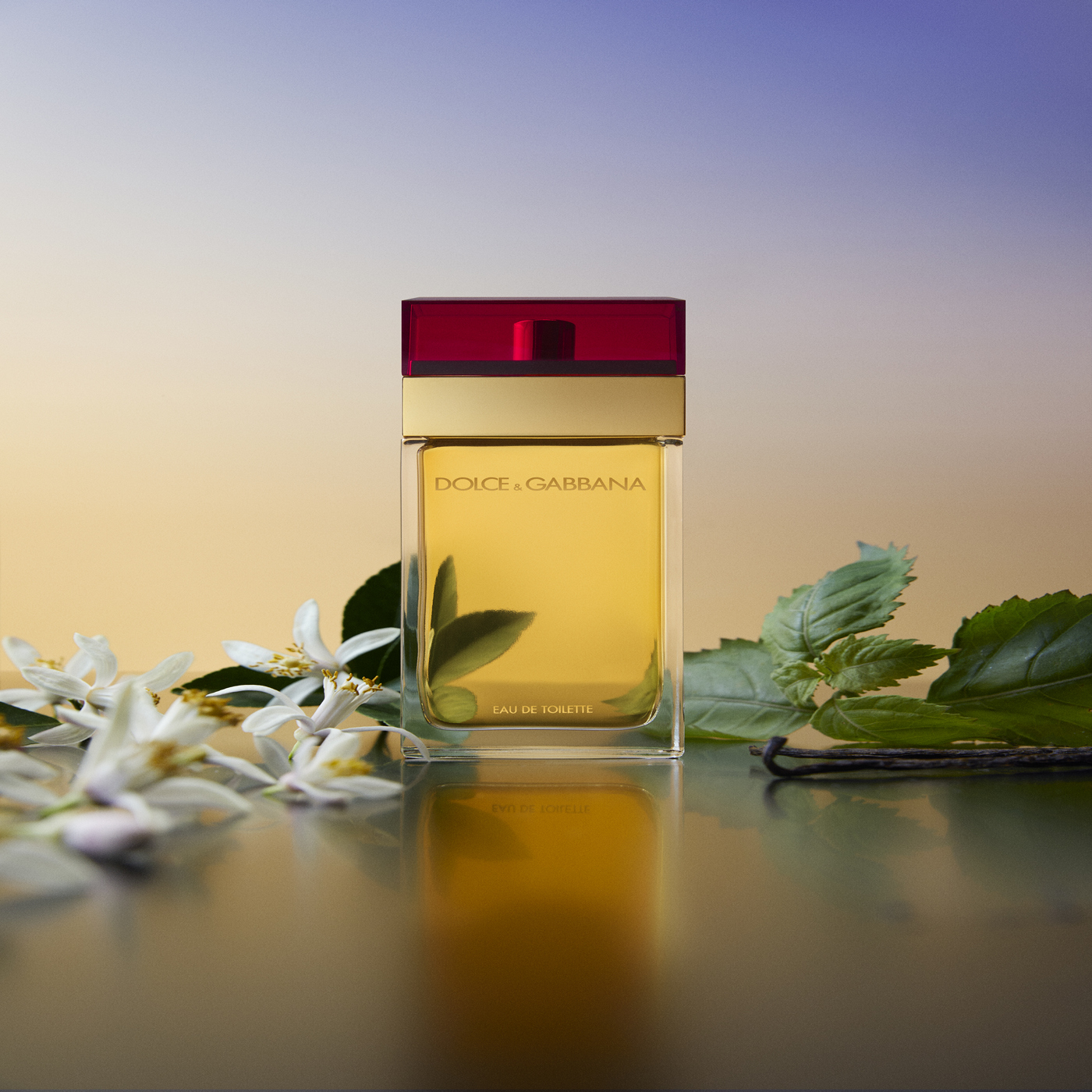 DOLCE & GABBANA POUR FEMME EDT 100ML - 3