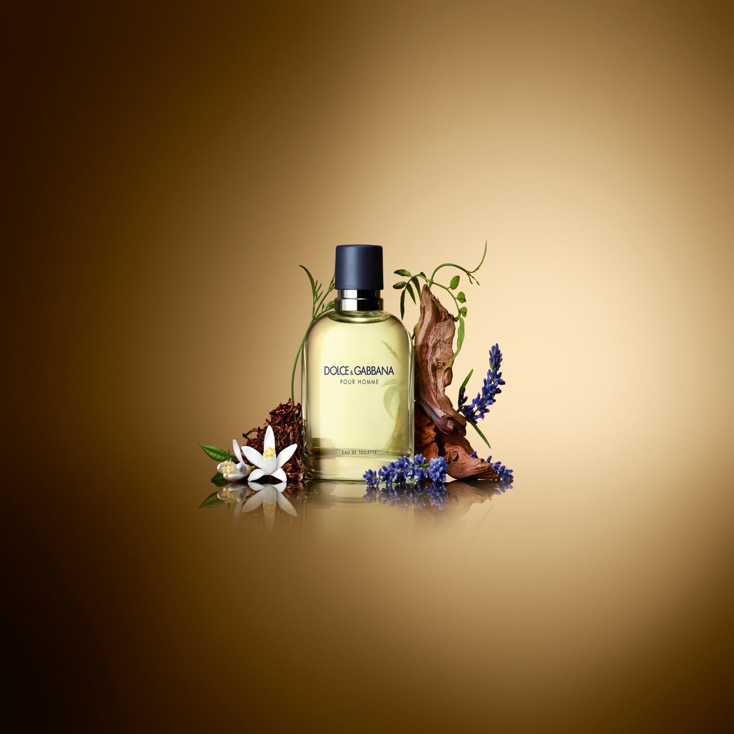 PERFUME DOLCE&GABBANA POUR HOMME HOMBRE EDT 200 ML - 3