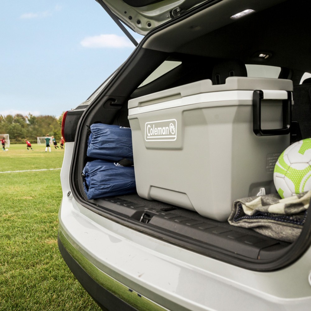 COOLER COLEMAN ROCK 316 52 QT / 49 LT - 8