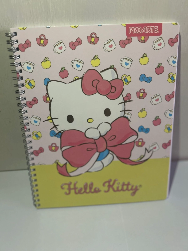 PACK 10 CUADERNOS UNIVERSITARIO 100 HOJAS HELLO KITTY - 1