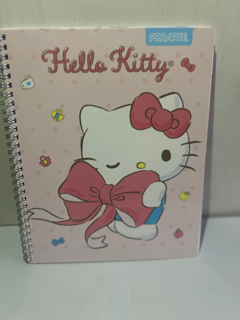 PACK 10 CUADERNOS UNIVERSITARIO 100 HOJAS HELLO KITTY - 2