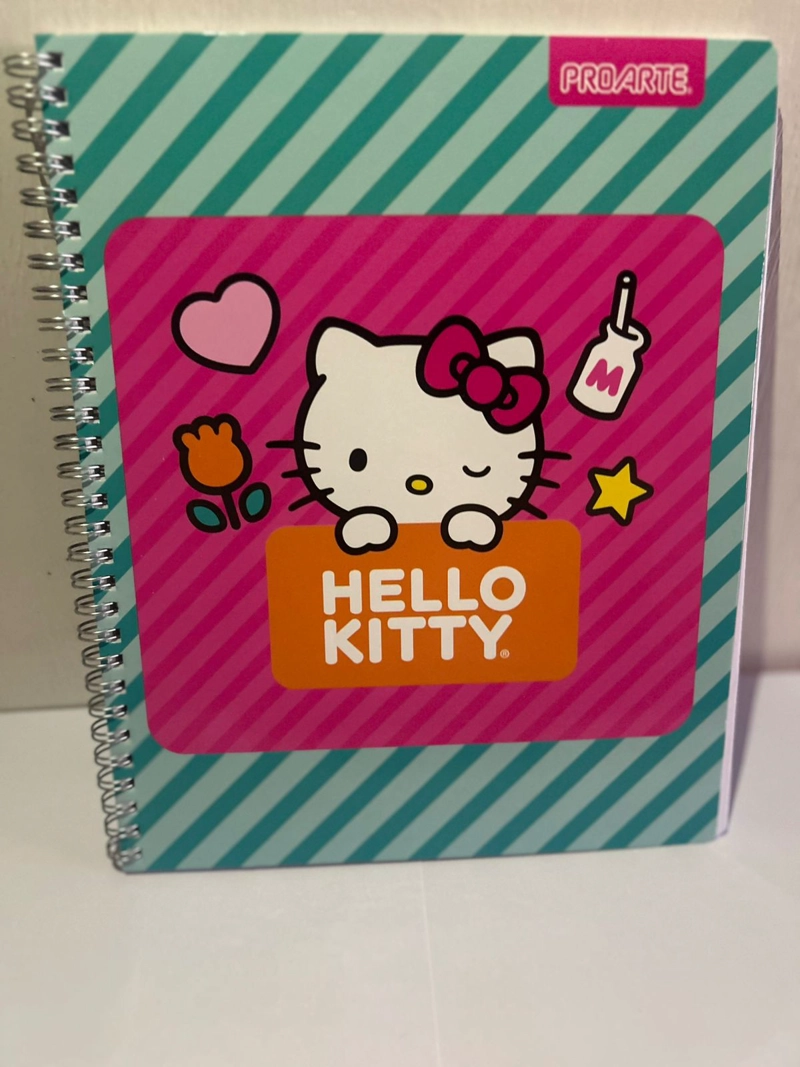 PACK 10 CUADERNOS UNIVERSITARIO 100 HOJAS HELLO KITTY - 3