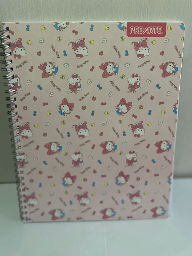 PACK 10 CUADERNOS UNIVERSITARIO 100 HOJAS HELLO KITTY - 4