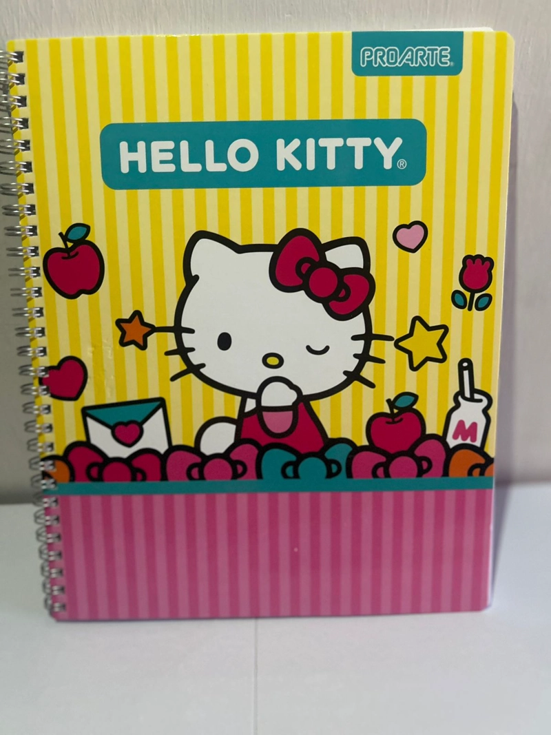 PACK 10 CUADERNOS UNIVERSITARIO 100 HOJAS HELLO KITTY - 5