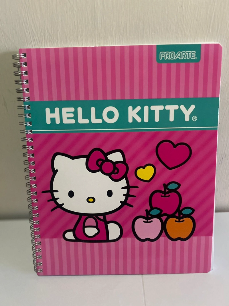 PACK 10 CUADERNOS UNIVERSITARIO 100 HOJAS HELLO KITTY - 6