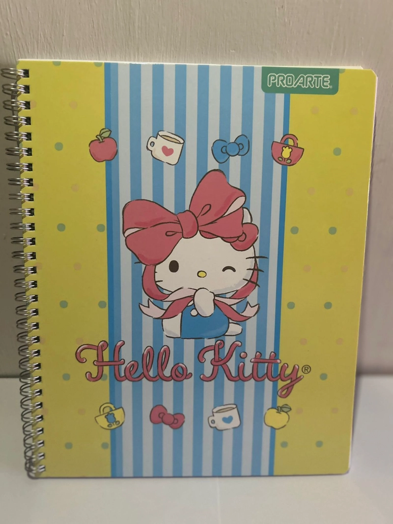 PACK 10 CUADERNOS UNIVERSITARIO 100 HOJAS HELLO KITTY - 7