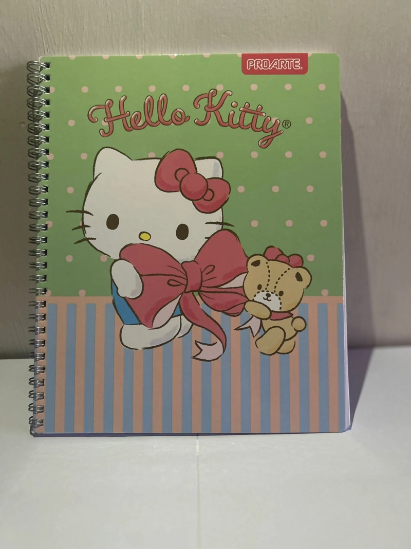 PACK 10 CUADERNOS UNIVERSITARIO 100 HOJAS HELLO KITTY - 8