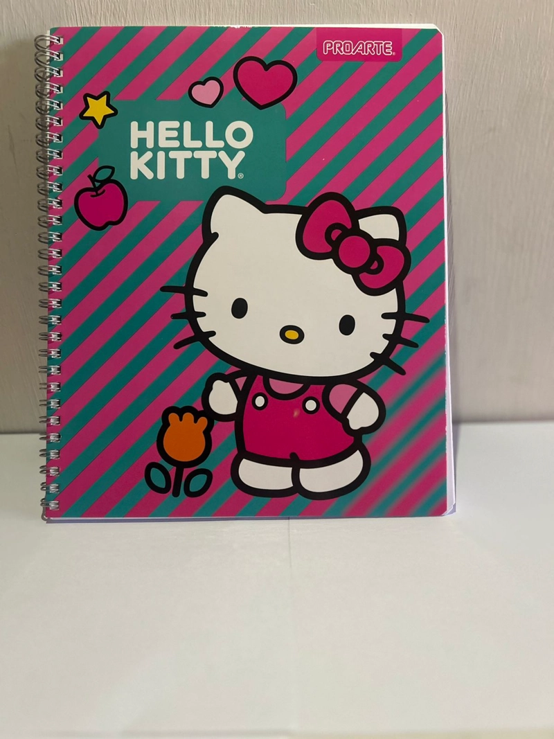 PACK 10 CUADERNOS UNIVERSITARIO 100 HOJAS HELLO KITTY - 9