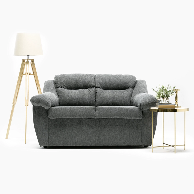 SOFA ASTURIAS 2CPOS GRIS - 4