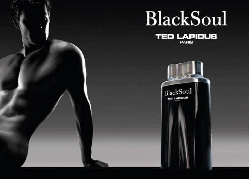 TED LAPIDUS BLACK SOUL EDT 100ML HOMBRE - 2