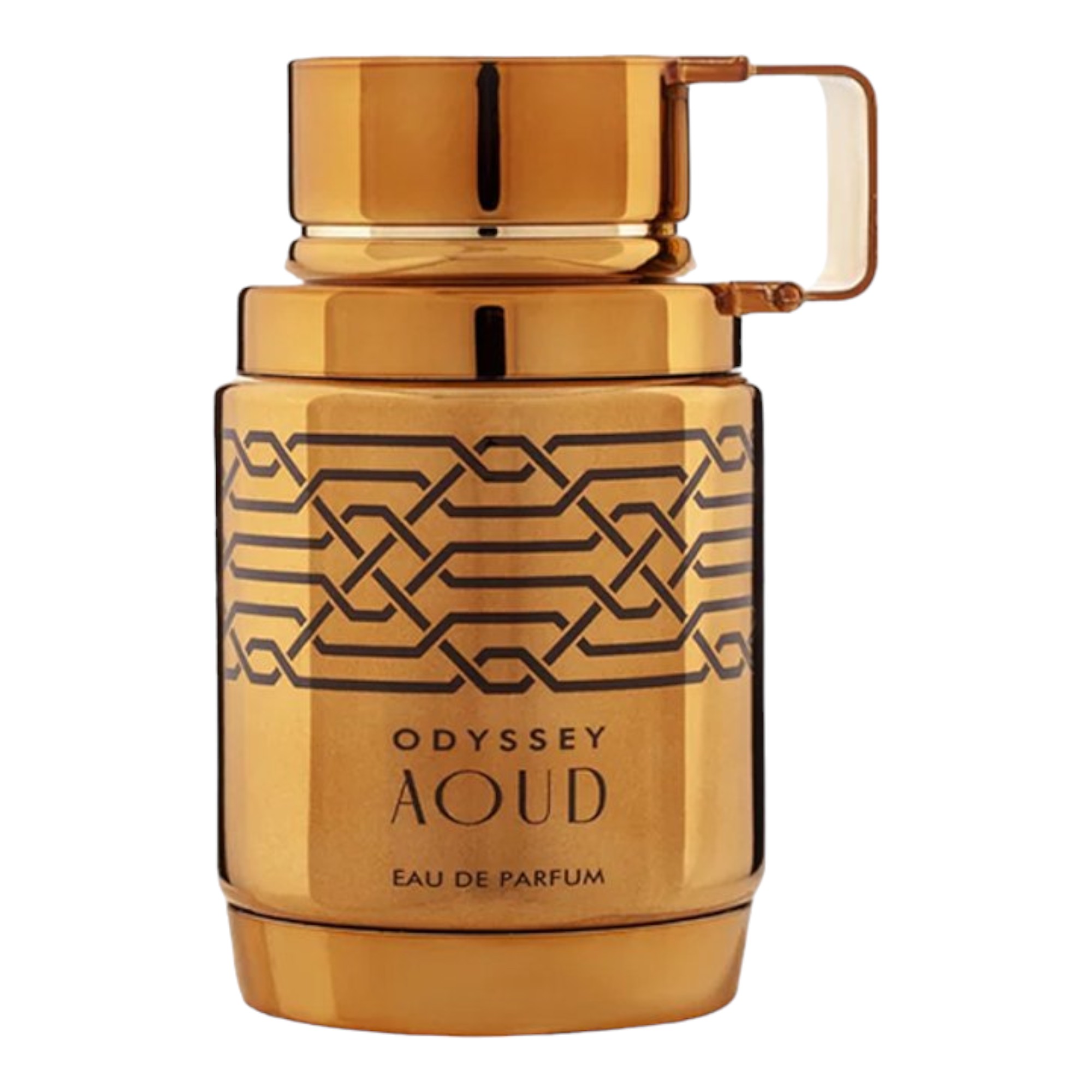 ARMAF ODYSSEY AOUD EDP 100ML HOMBRE - 2