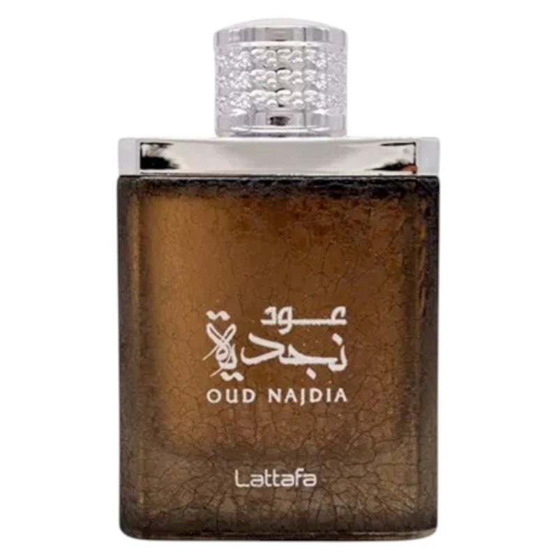 LATTAFA OUD NAJDIA EDP 100ML UNISEX - 2
