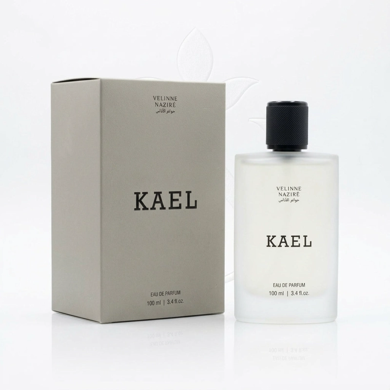 VELINNE NAZIRE KAEL EDP 100ML HOMBRE - ACQUA DI GIO - 1