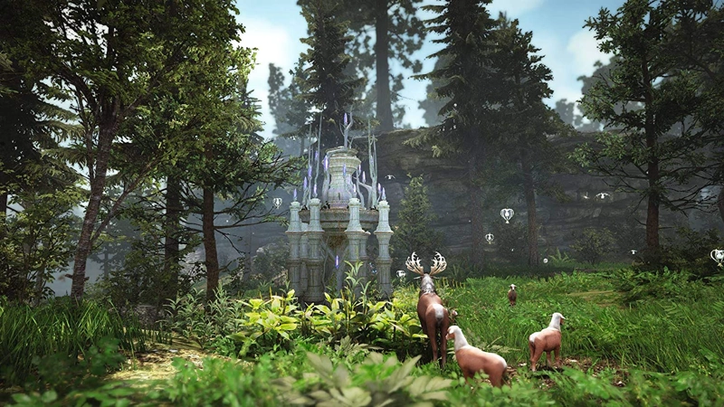 BLACK DESERT PRESTIGE EDITION - PS4 - 2