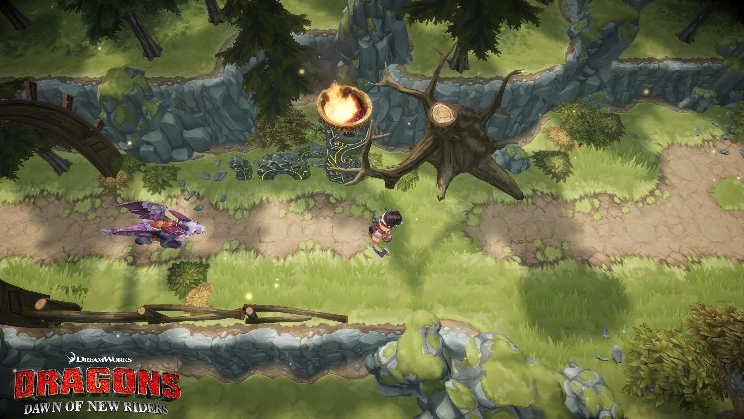 DRAGONS DAWN OF NEW RIDERS - PS4 - 2