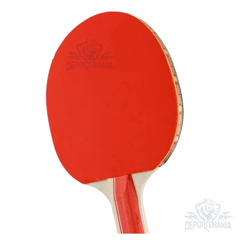 PALETA PING PONG SENSEI MADERA 2 STAR NEGRA Y ROJA - 6
