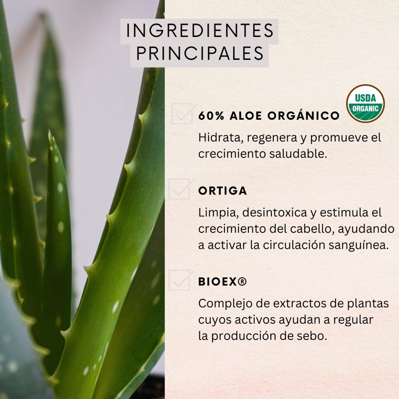 PACK 3 SHAMPOO CONTROL CAIDA GRASO 350 ML NATURALOE - 2