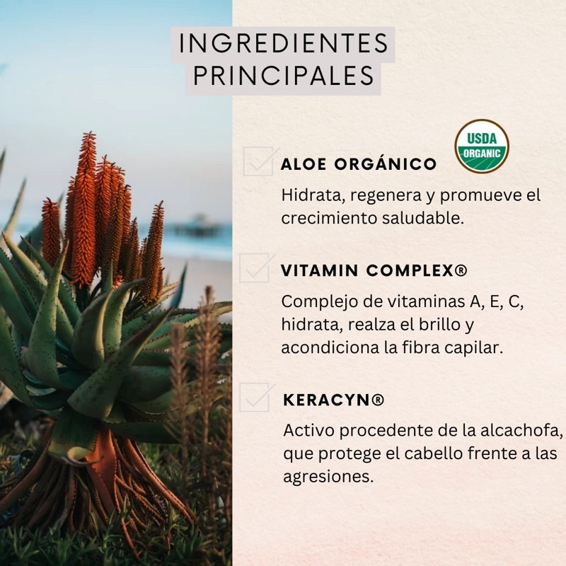 PACK X3 SHAMPOO CABELLO NATURALOE HIDRATACIÓN Y BRILLO 350 ML - 3