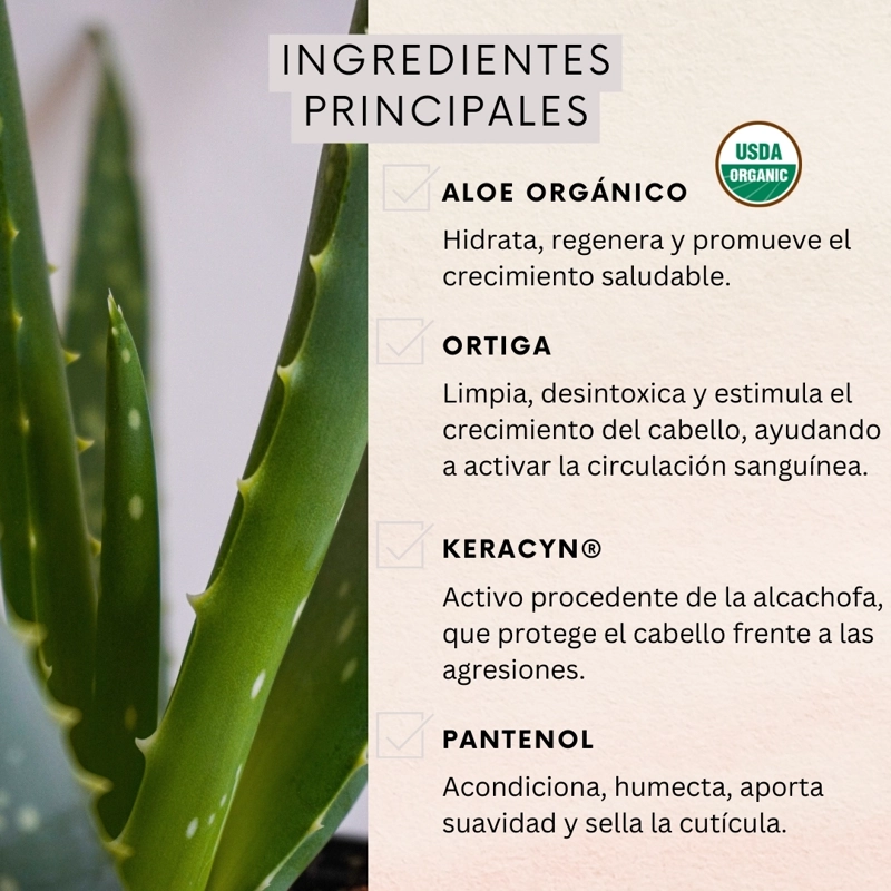PACK 6 SHAMPOO NATURALOE CONTROL CAIDA NORMAL 350ML - 2