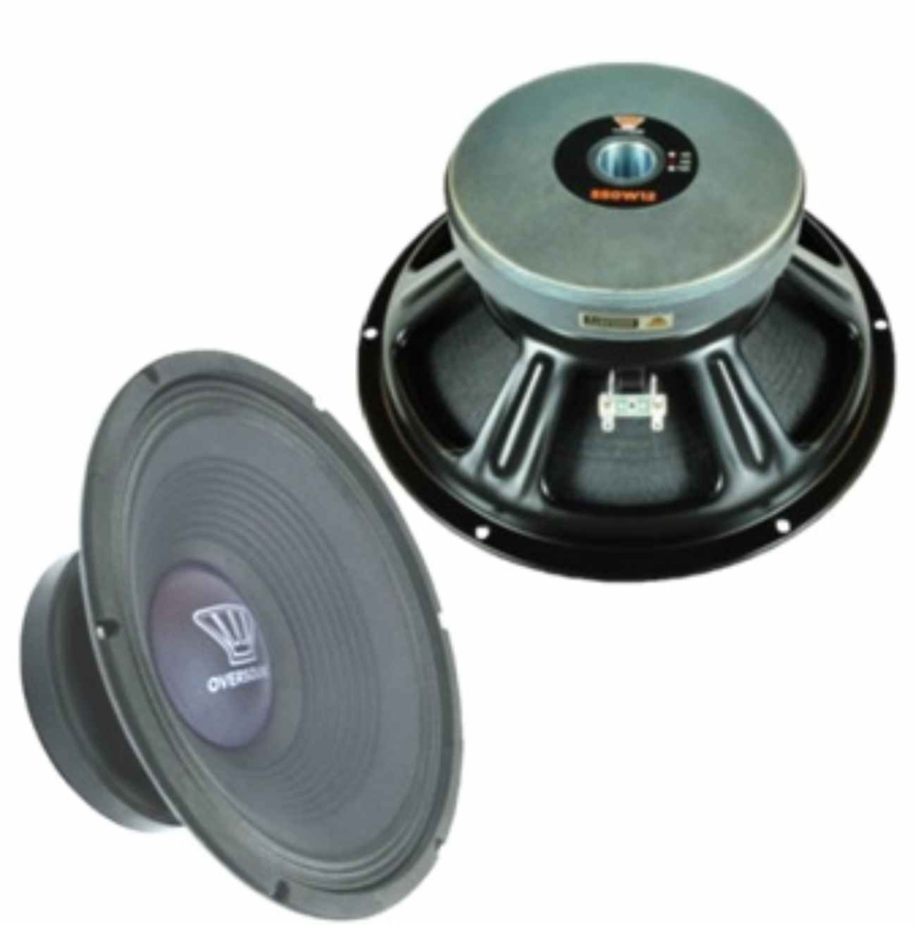 PARLANTE AUTO 12”PULGADAS 450W RMS - 1