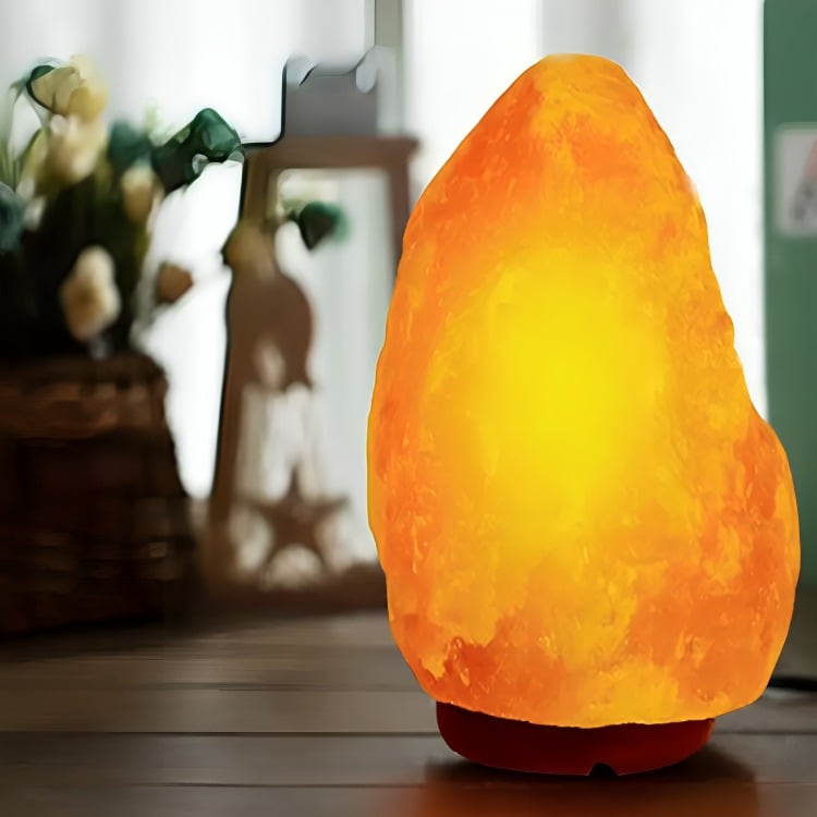 LAMPARA DE SAL DEL HIMALAYA PIEDRA DE 2 A 3 KG - 3