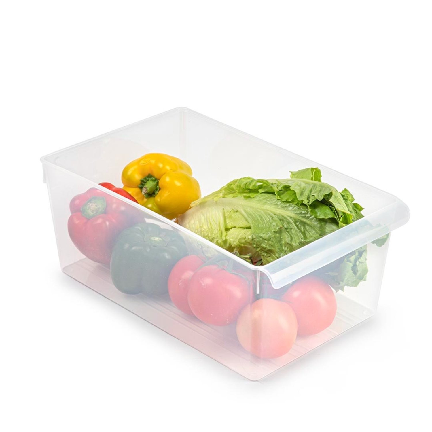 ORGANIZADOR RECTANGULAR SYSTEM NO. 14 FRIGO - 2