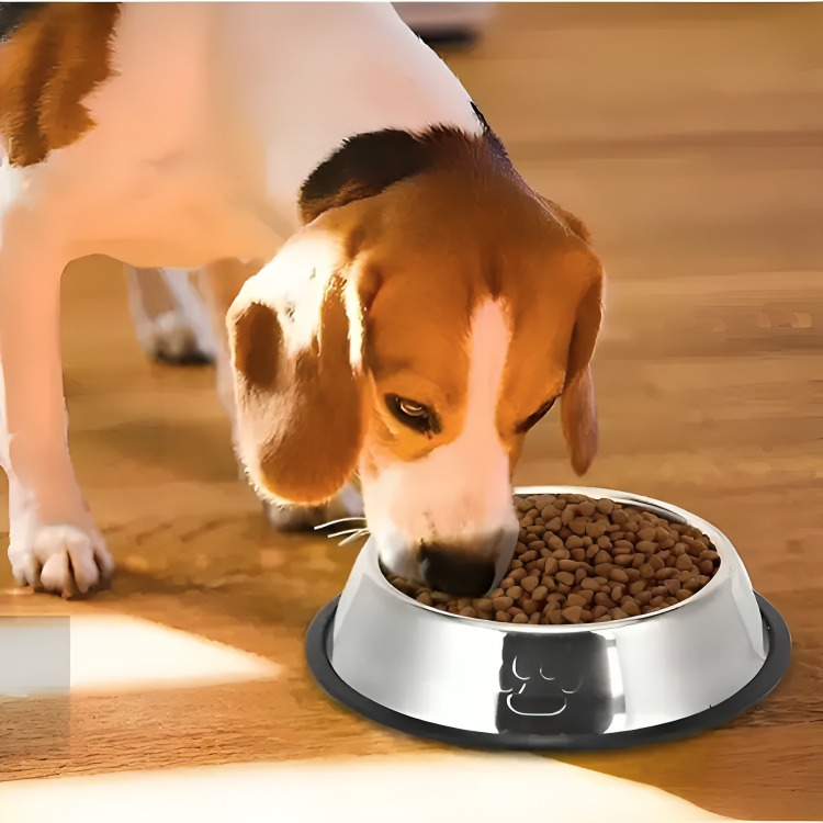 COMEDERO PERRO PLATOS PARA PERROS GATOS MASCOTAS 18CM - 1