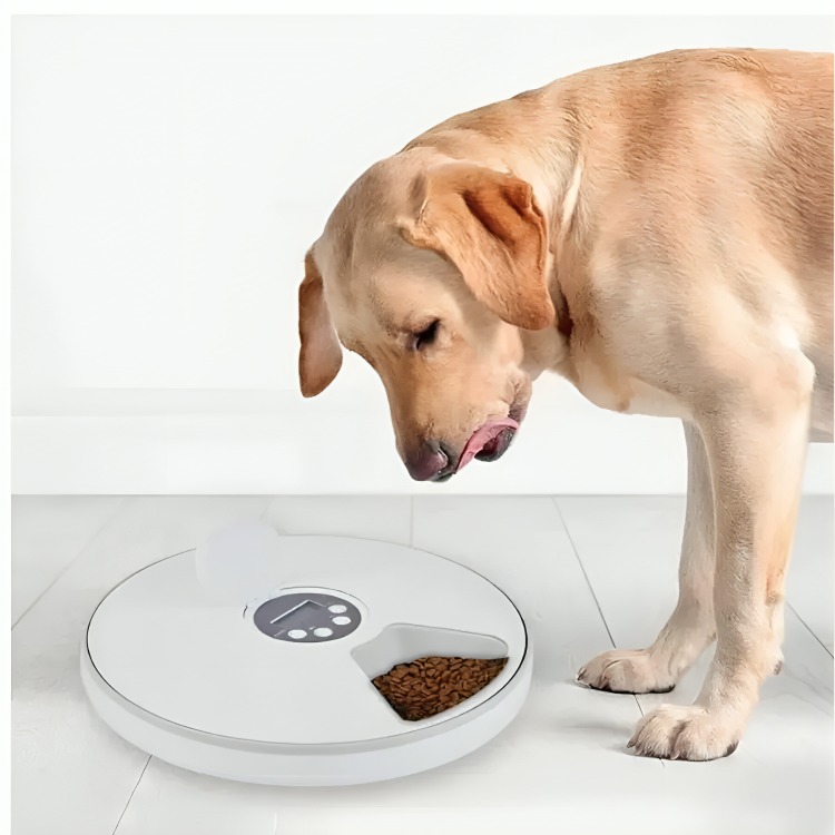 DISPENSADOR DE ALIMENTO AUTOMÁTICO PERROS GATOS - 2